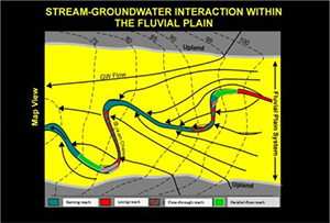 Complex Groundwater River Exchange