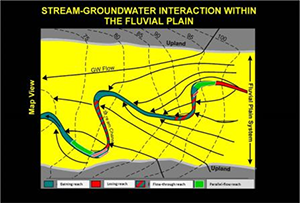 virus tracer test Complex Groundwater River Exchange